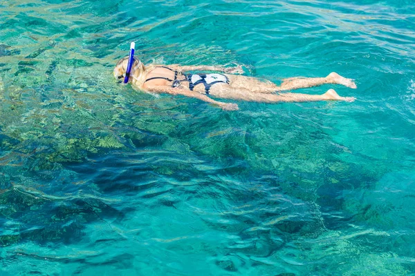 Úszás Búvárkodás Lány Élvez Nyaralás Vörös Tenger Nyári Időutazás Koncepció — Stock Fotó