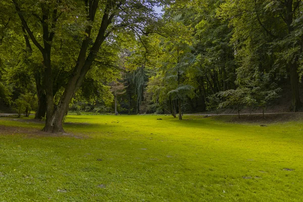 Cennet Gibi Huzurlu Bir Park Manzaralı Bir Bahar Ortamı Yeşil — Stok fotoğraf
