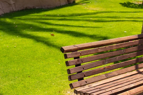 Lato czas słoneczny park scena drewniana ławka krawędź na żywy zielony trawa tło — Zdjęcie stockowe
