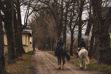 Sonbahar bulutlu havada atlara binen iki kadın toprak yolda açık havada yağmur parkına geri dönüyor.