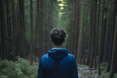 Karpatya Dağları 'nın vahşi ortamını aydınlatan karanlık arka planda, kasvetli atmosferik çam ormanı geçidinde gizli görevdeki adam kameraya geri döndü.