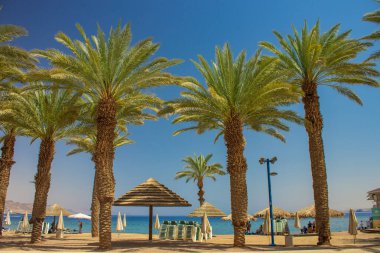 Palm Beach manzarası güney istikameti Kızıl Deniz kıyı şeridi yaz mevsimi için güzel bir yer