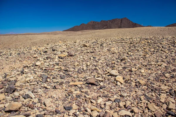 Calentamiento global ambiental y cambios climáticos concepto fondo de pantalla imagen de paisaje de páramo seco piedra suelo rocoso primer plano y horizonte desenfocado fondo de roca del desierto — Foto de Stock