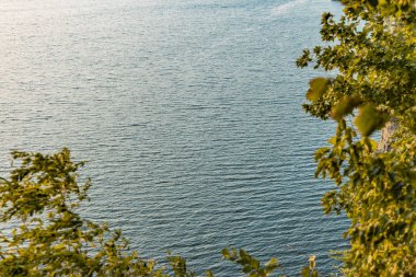 Doğal desen yeşil yaprak çerçeve ve su yüzeyi arkaplan bahar zamanı çiçek mevsimi duvar kâğıdı manzaralı metin için boş kopya alanı