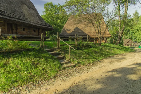 Pintoresca aldea ucraniana rural lado punto de referencia vista con cabañas de madera rodeada de primavera flor naturaleza soleada — Foto de Stock