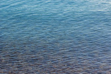 sakin su arkaplanı sığ manzara, metin için alanı kopyala