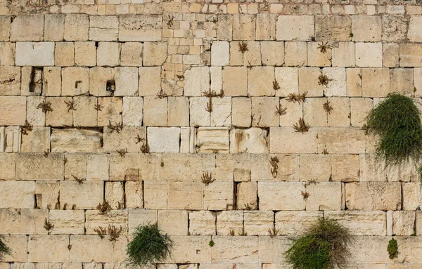 Batı Duvarı Dünya Mirası Dua ve umut için Din Alanı İsrail 'de antik yapı taşı arka plan dokusu, uzay kopyası