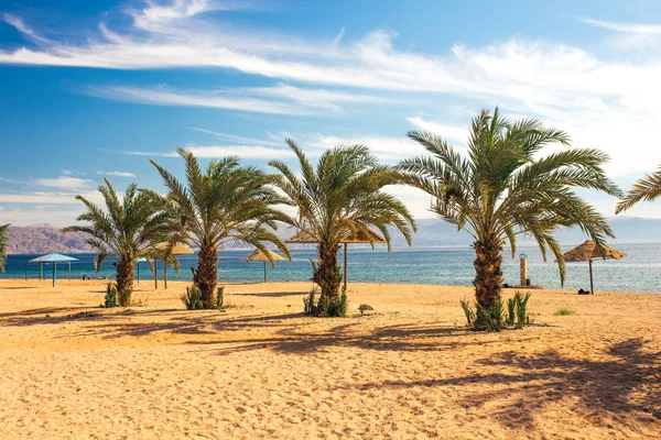 Playa de palmeras verano vacaciones resort destino paisaje con vista panorámica del fondo del agua del océano y la línea de playa de arena en primer plano, espacio de copia —  Fotos de Stock