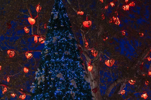 Saint Valentine e decoração de carnaval de Natal ambiente ao ar livre festivo com luzes de guirlanda de árvore e iluminação vermelha de ouve lâmpadas de forma — Fotografia de Stock