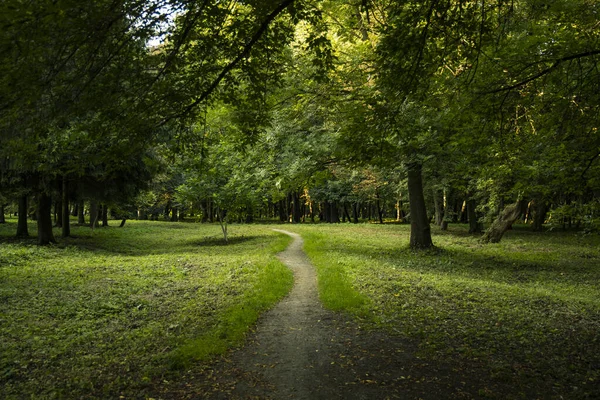 Park outdoor green foliage natural outdoor environment with lonely dirt trail scenic view without people — ストック写真