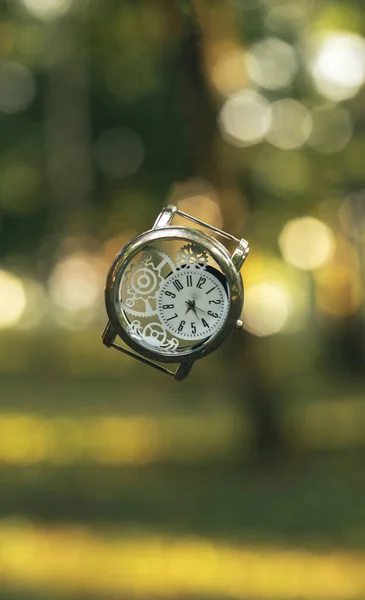 Formato vertical inspiradora imagen de diseño gráfico de reloj de mano vintage en el aire en el bosque de cuento de hadas de oro entorno de fondo natural desenfocado con efecto bokeh —  Fotos de Stock