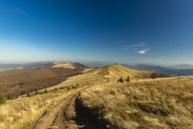Sonbahar zamanı dağ sırtı dağ sırtı rotası toprak iz insanlar olmadan mavi gökyüzü arkaplan boş duvar kağıdı metin için kopya alanı