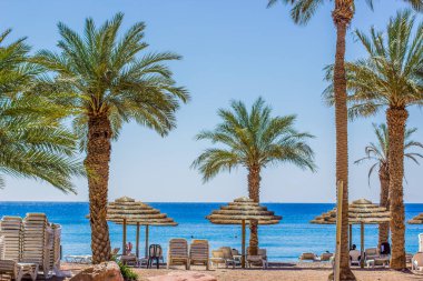 Yaz zamanı güney tropik ada manzarası tatil beldesi otel sahil tatil mevsimi palmiyeler ve saman şemsiyeler okyanus kıyısı manzarası