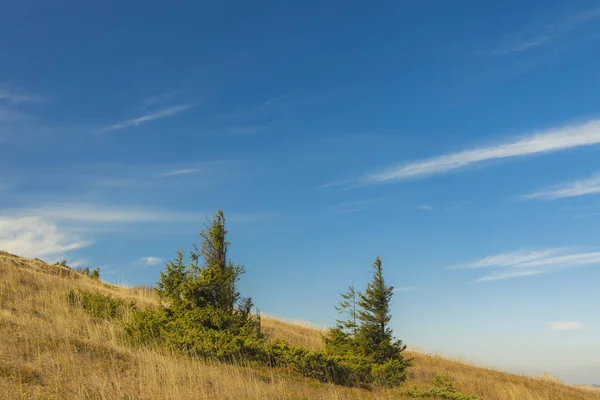 Frühling Zeit Berglandschaft diagonal Hügelland Horizont Linie mit kleinen Kiefern malerischen Blick natürliche Umgebung und lebendigen blauen Himmel Hintergrund — Stockfoto