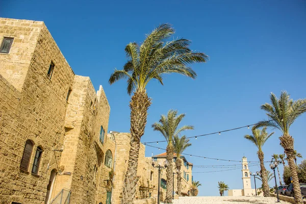 Israeli ancient city Jaffa part of Tel Aviv capital UNESCO παγκόσμια κληρονομιά τουριστικός προορισμός ορόσημο Μέση Ανατολή άποψη με τα πόδια δρομάκι τρόπο μεταξύ των πέτρινων κτιρίων και φοίνικες — Φωτογραφία Αρχείου