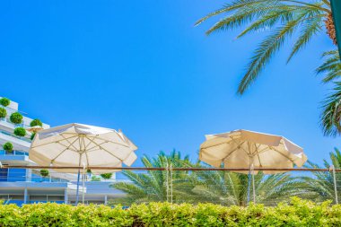 Yaz tatili sezonu İsrail otel bahçesinde beyaz şemsiyeli, yeşil yapraklı, mavi gökyüzü arka planlı