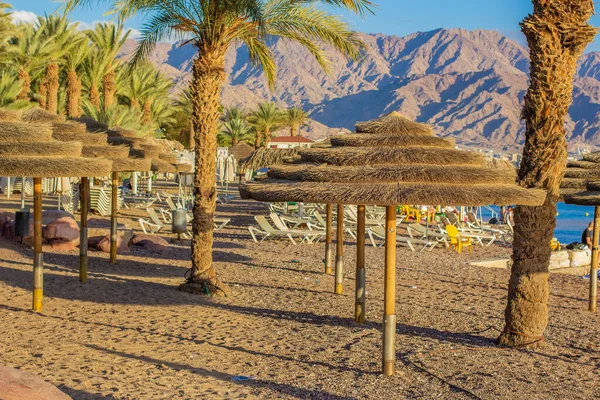 Palmier sable plage paysage vue paille parapluie près de l'eau de mer rouge été saison des vacances belle destination pour le repos — Photo