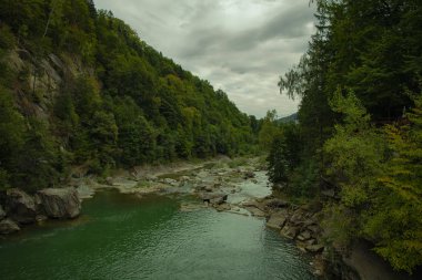 Dramatik bulutlu dağ ormanı manzarası dağlık nehir kanyonu yeşil çam ağaçları ve gri gökyüzü arkaplanı ile kayalık kenarları arasında