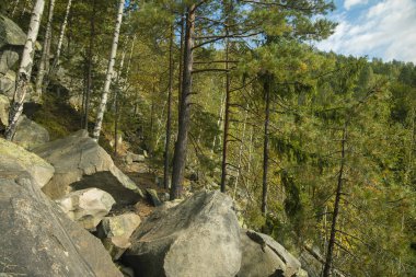 Bahar zamanı yüksek ağaçlar yeşil yapraklar kayalık dağ ormanları parlak renkli açık hava günü