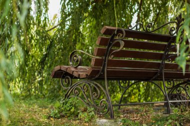 yumuşak odak arka ahşap bank doğa manzarası güzel açık hava parkı insanlar olmadan sakin bir yer ve ağaç dalları arasında önsezi