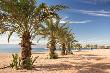 Yaz zamanı lüks Palm Beach tropik manzara manzarası Ortadoğu Ürdün sahil şeridi üzerinde güzel bir tatil yeri Kızıl deniz suları, palmiye ağaçları ve kum zeminleri, mavi gökyüzü arka planı