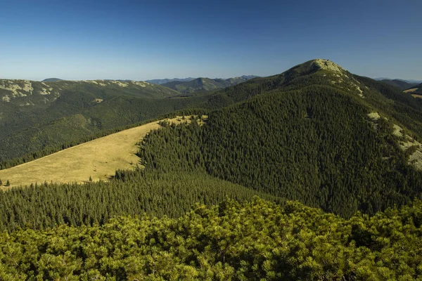 Vista superior paisaje aéreo montaña verde bosque verano vista panorámica fondo desde arriba —  Fotos de Stock