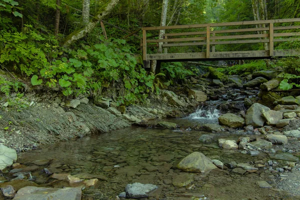 Petit pont en bois à travers le ruisseau de la rivière au printemps paysage forestier environnement extérieur — Photo