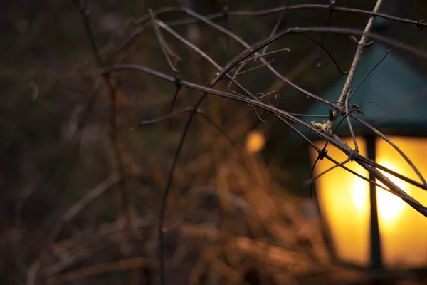 Arancione illuminazione lanterna forma silhouette sfocata in giardino ambiente esterno colori caldi e accoglienti autunno crepuscolo illuminazione astratto concetto immagine — Foto Stock