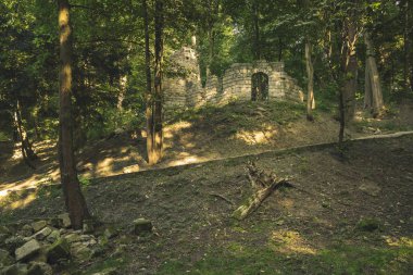 Taş malzemeli kale, ormanın eski binalarını harabeye çeviriyor. Güneşli ve güneşli bir doğada, bahar zamanı etrafında insanlar olmadan. Parlak, renkli bir gün.