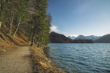 Karamsar çam ormanları huzurlu göl suları boyunca uzanan toprak yol. Resimli Alpler dağları karlı zirveler. Arka plan manzaralı.