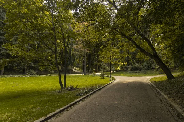 Πάρκο υπαίθρια άσφαλτο δρόμο για το περπάτημα και περιπάτους αντικείμενο εξωραϊσμού στη φύση περιβάλλον πράσινο φυλλώματα δέντρα σκιά — Φωτογραφία Αρχείου