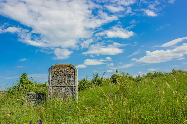 Grave stone ancient cemetery vivid green grass hill land scenic landscape environment bright colorful summer day time blue sky background empty copy space for your text here — Stock Photo, Image