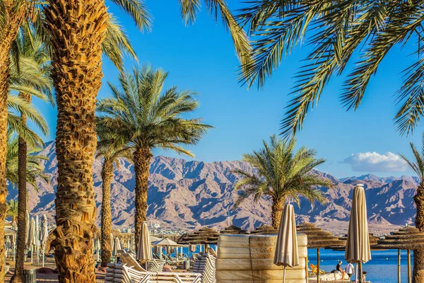 Hotel resort beach tropic landscape palm trees lounged blue sky background on Red sea Gulf of Aqaba coast line waterfront district — 图库照片