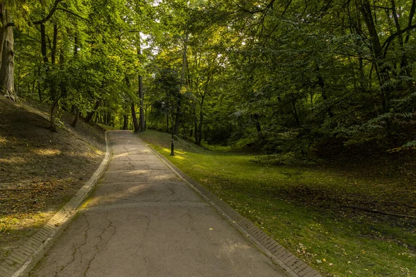 Peaceful city park green foliage outdoor scenic nature environment asphalt road for walking and promenade in sun rise morning time — Stok fotoğraf