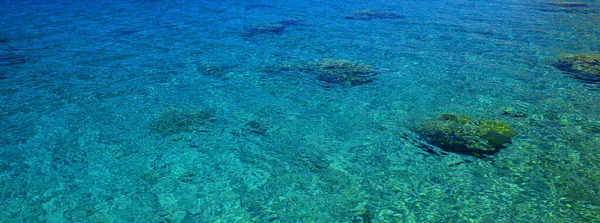 Korallen Strand Riffe rot Meeresboden transparent Wasser tropischen landschaftlichen natürlichen Ansicht Tapeten Hintergrund Panorama-Format Fotografie — Stockfoto