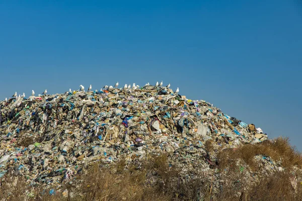 Lixo colina poluição desastre conceito imagem na periferia despejo com gaivota pássaros no topo e vazio azul céu papel de parede padrão fundo espaço de cópia para o seu texto aqui — Fotografia de Stock