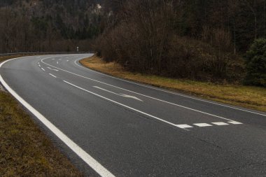 Boş asfalt araba yolu beyaz çizgiler kentsel peyzaj nesne eğimli yol kırsal kesim orman doğası çevresindeki alacakaranlık aydınlatma zamanı