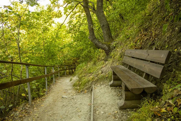 Groen landschap landschap schilderachtige omgeving nationaal park bos natuur heuvel land met houten bank in de buurt van zandpad grondpad weg voor vreedzame wandelen en promenade lente seizoen — Stockfoto