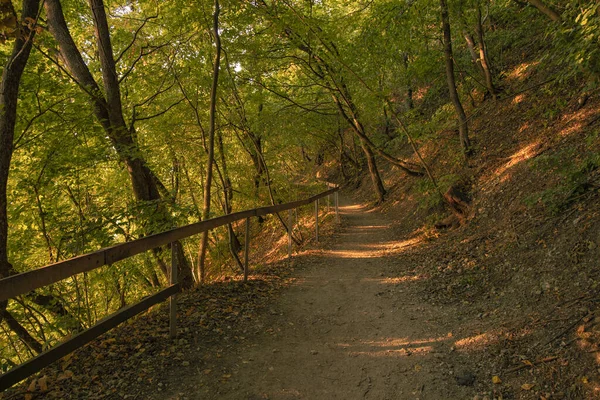 Atardecer tiempo naranja vívido en el entorno del bosque tierra de la colina con terreno sendero solitario para caminar en paz en la naturaleza — Foto de Stock