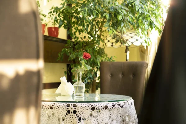 Café interior habitación rosa florero de flores en la mesa y el marco de trabajo de primer plano soleado brillante interior ambiente elementos decorativos — Foto de Stock