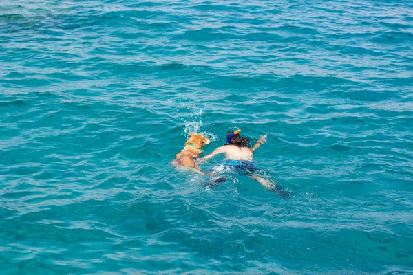 Godere di attività acquatiche estive ragazzo nuotare in mare con il suo cane Labrador pet natura all'aperto vista dall'alto sfondo carta da parati immagine — Foto Stock