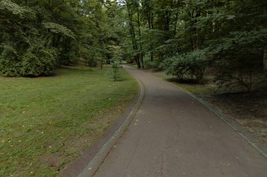 park outdoor nature environment road textured asphalt surface path way for walking and promenade without people here