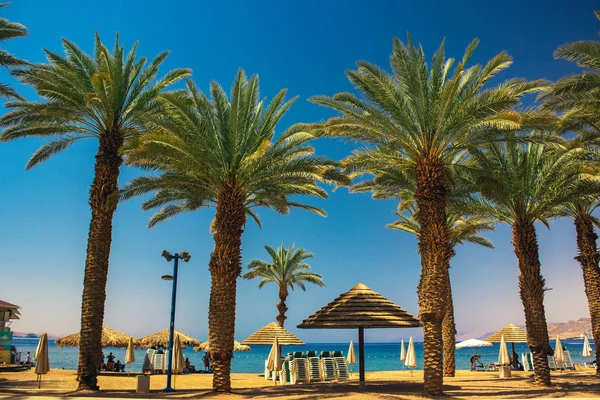 Playa de palmeras paisaje tropical ciudad israelí Eilat vista panorámica al aire libre Línea del mar Rojo verano temporada de vacaciones tiempo brillante día —  Fotos de Stock