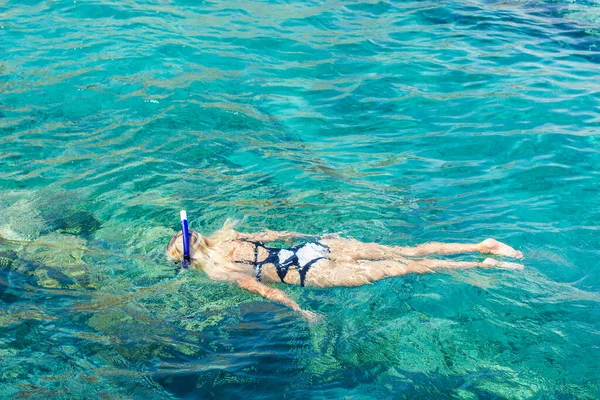Top view úszás búvárkodás nő a Vörös-tenger víz festői déli természet környezet nyári idő nyaralás szezon tevékenységek — Stock Fotó
