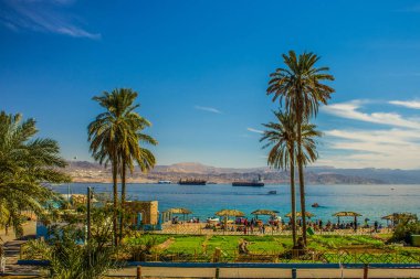 tropic palm beach summer landscape scenic view of Gulf of Aqaba waterfront shore line in south of Jordan with port and cargo ship background Israeli territory clipart