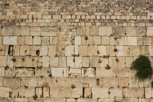 Western wall Jerusalem Israeli religion world famous spiritual heritage site background texture stone ancient building