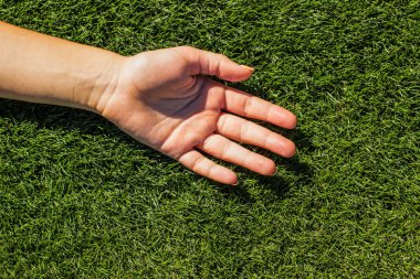 young girl hand lay on a green grass meadow background surface under sunny bright lighting