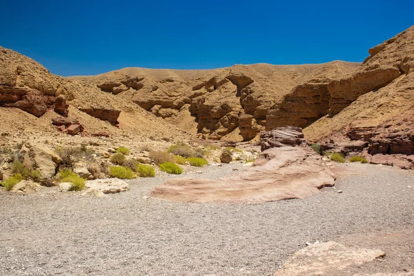 Global warming dry ground sand stone desert rocky wilderness waste land environment — 스톡 사진
