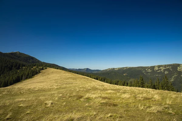 Montañas Cárpatos paisaje tierras altas meseta suelo y bosque fondo vista panorámica en tiempo claro verano hora día —  Fotos de Stock