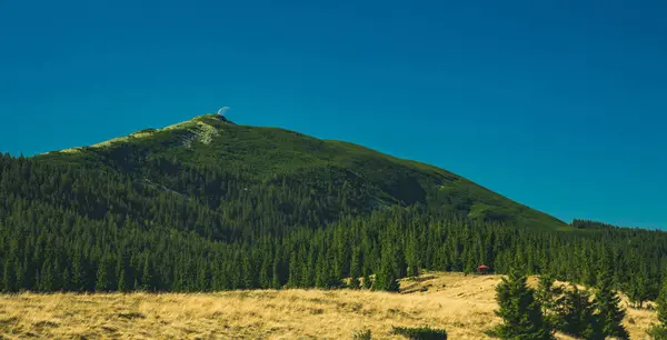 Concepto de enfoque suave Cárpatos solitario paisaje de montaña pintoresca vista panorámica pinos verdes árboles cubierta y la luna por encima de la cima del pico —  Fotos de Stock